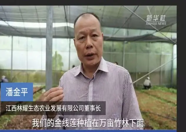 Pan Jinping, prezes Jiangxi Linyao Ecoological Agriculture Development Co., Ltd., wywiad dla agencji informacyjnej Xinhua