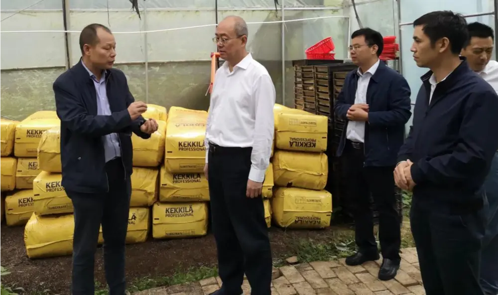 Xie Guanghua, sekretarz partii i dyrektor Administracji Tradycyjnej Medycyny Chińskiej prowincji Jiangxi, prowadzi badania w bazie sadzenia Anoectochilus